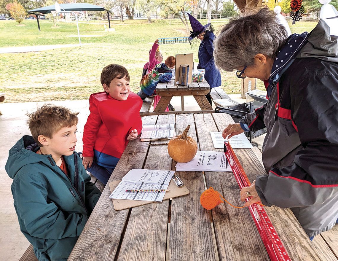 The Great Pumpkin Patch Investigation