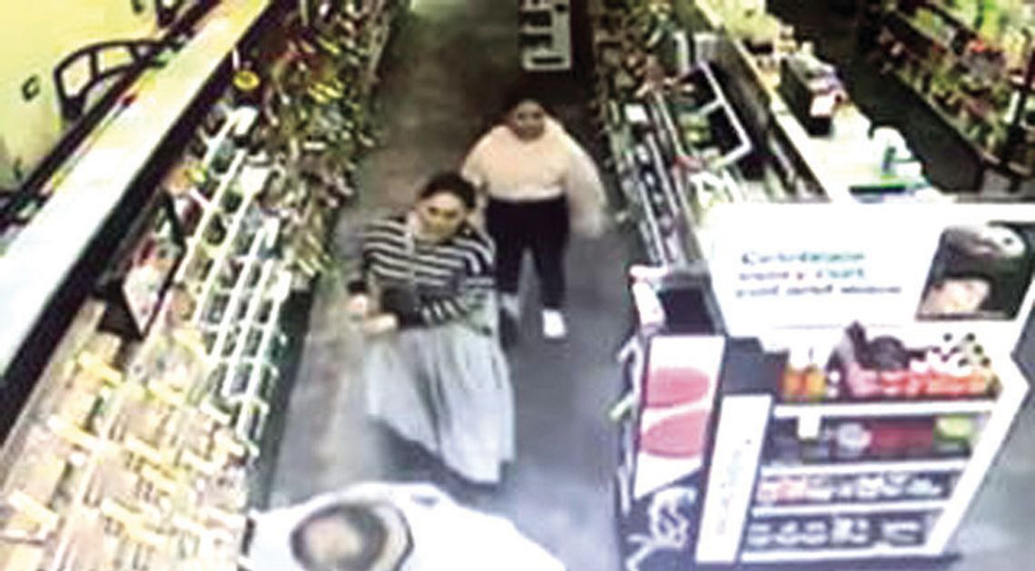 Theft Suspects Sought Theft Suspects Sought