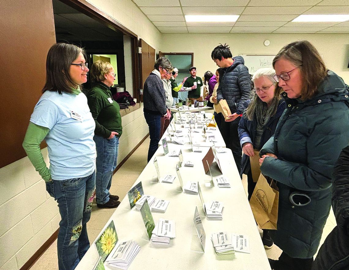 Think Spring Think Spring