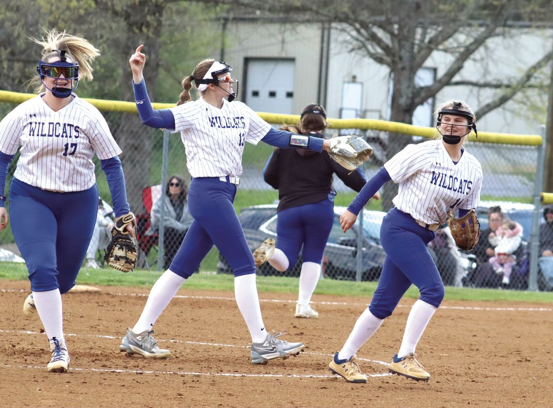 ‘Versatile’ ‘Cats Split Pair ‘Versatile’ ‘Cats Split Pair