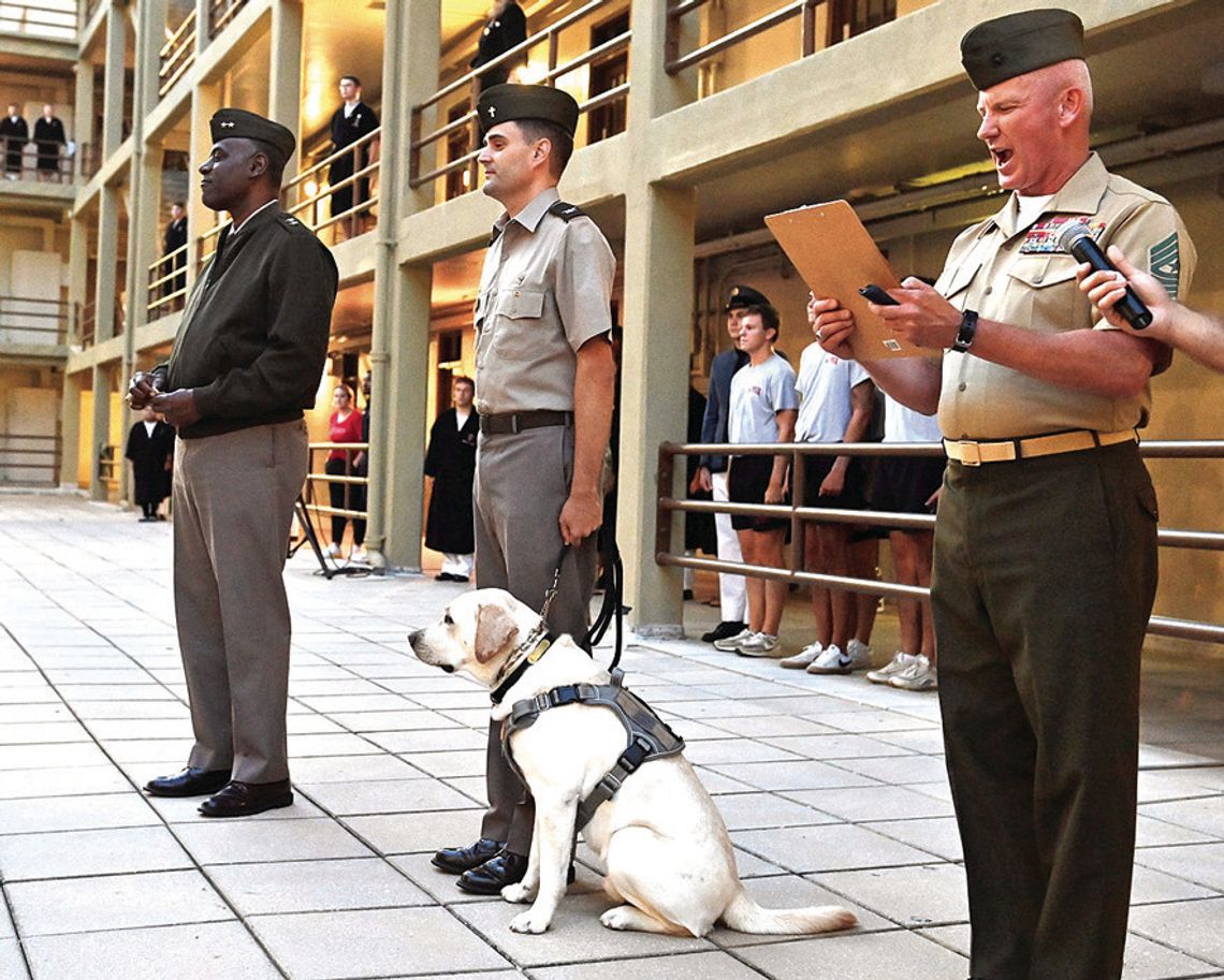 VMI Canine Appointed Brigadier General