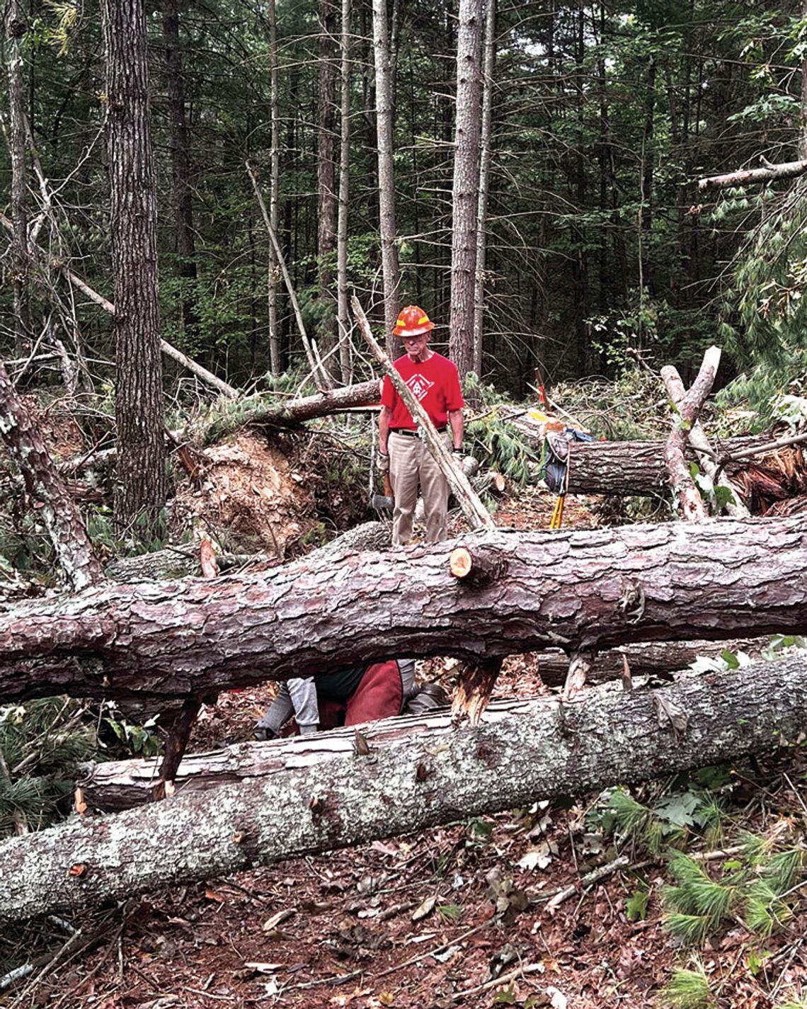 Volunteer Crew Clears Appalachian Trail After Storm Volunteer Crew Clears Appalachian Trail After Storm