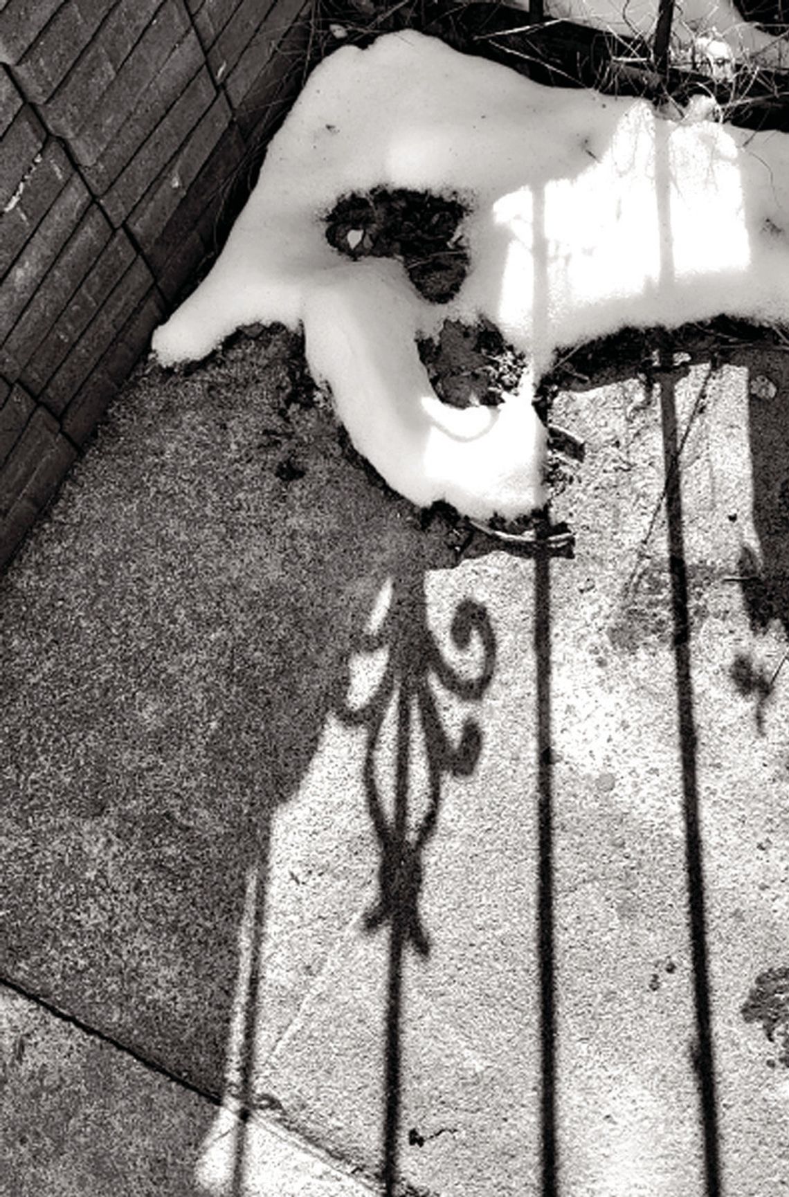 W&L’s Wells Had Photography Displayed