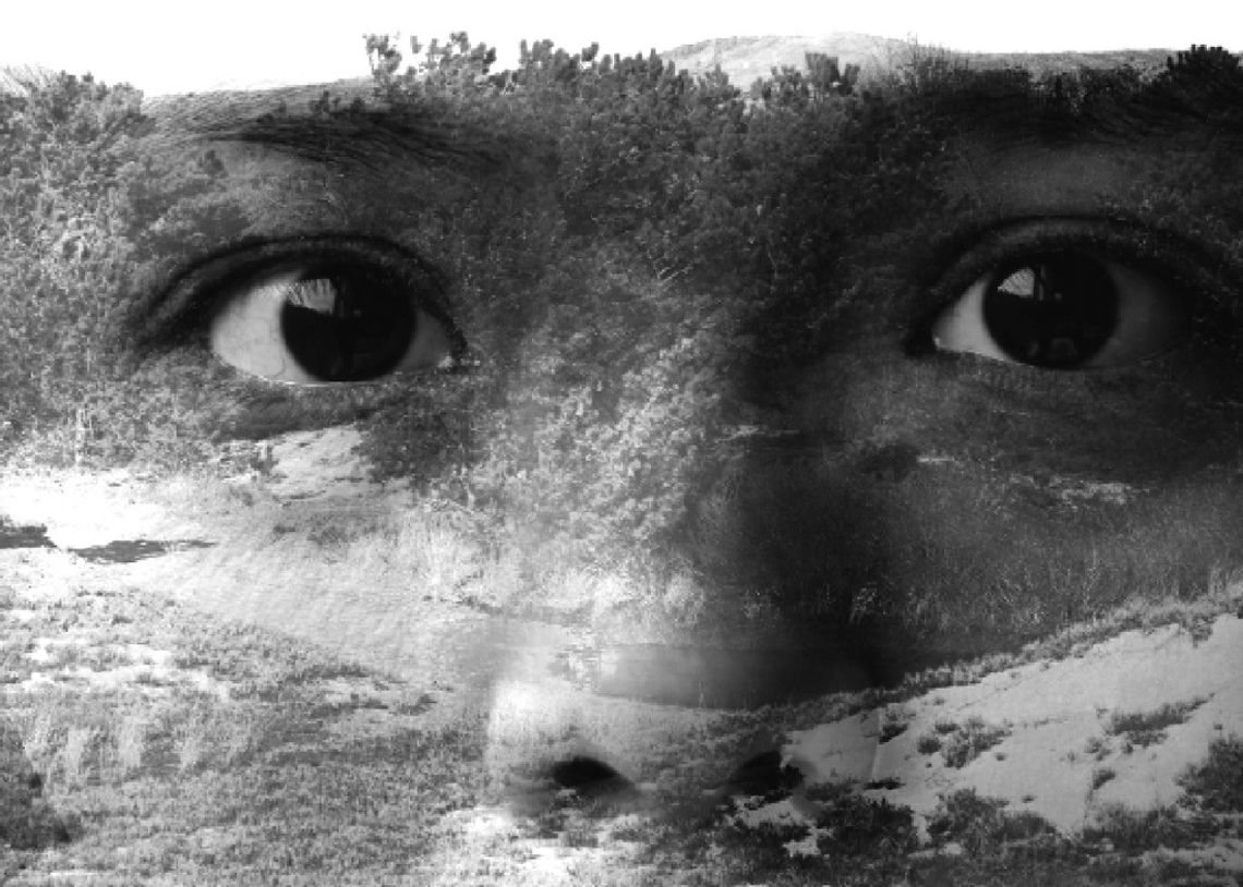 W&L Seniors Display Works