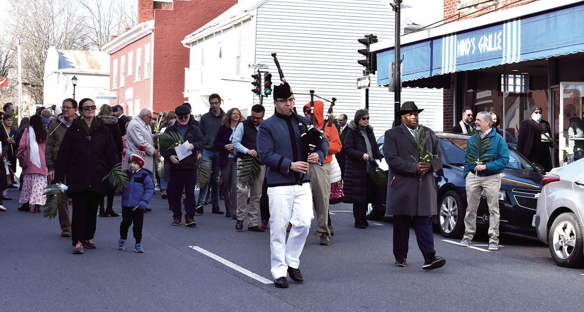 Waving Palms In Lexington