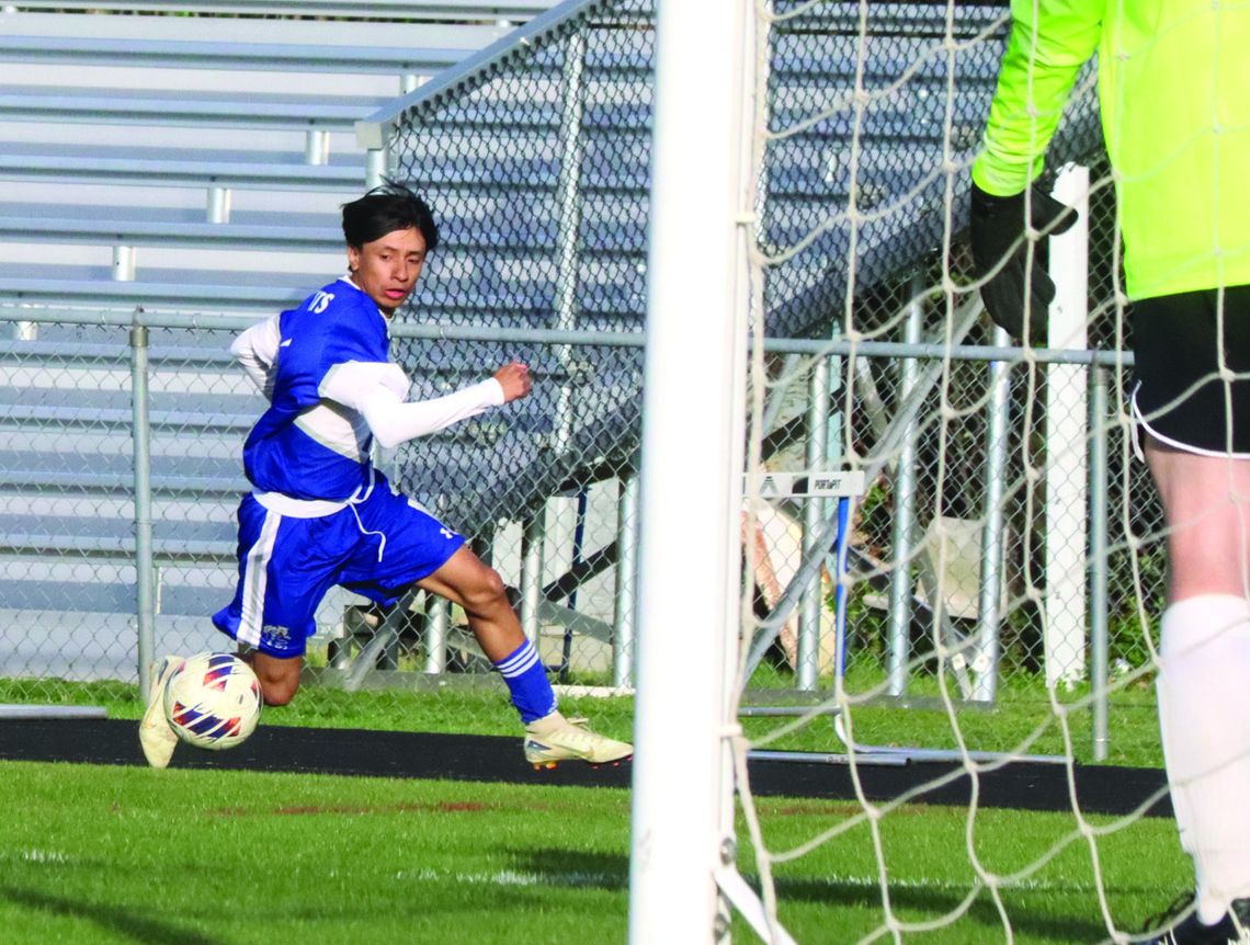 Wildcats Roll Past Gap Wildcats Roll Past Gap