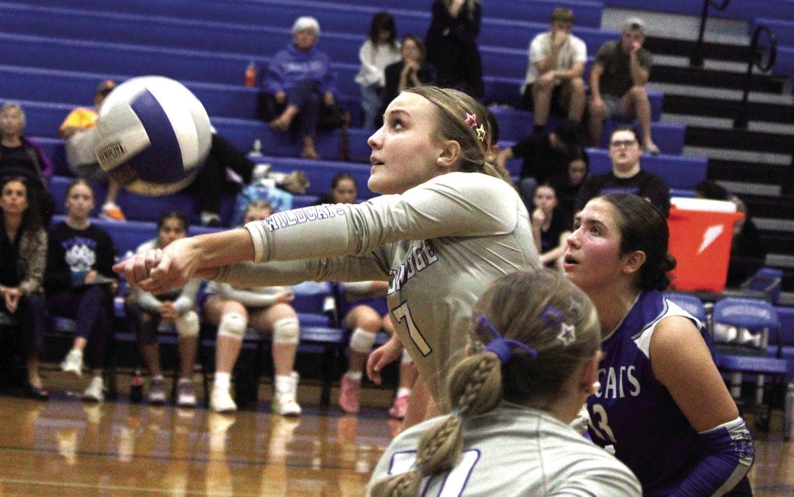 Wildcats Win Third Straight Wildcats Win Third Straight