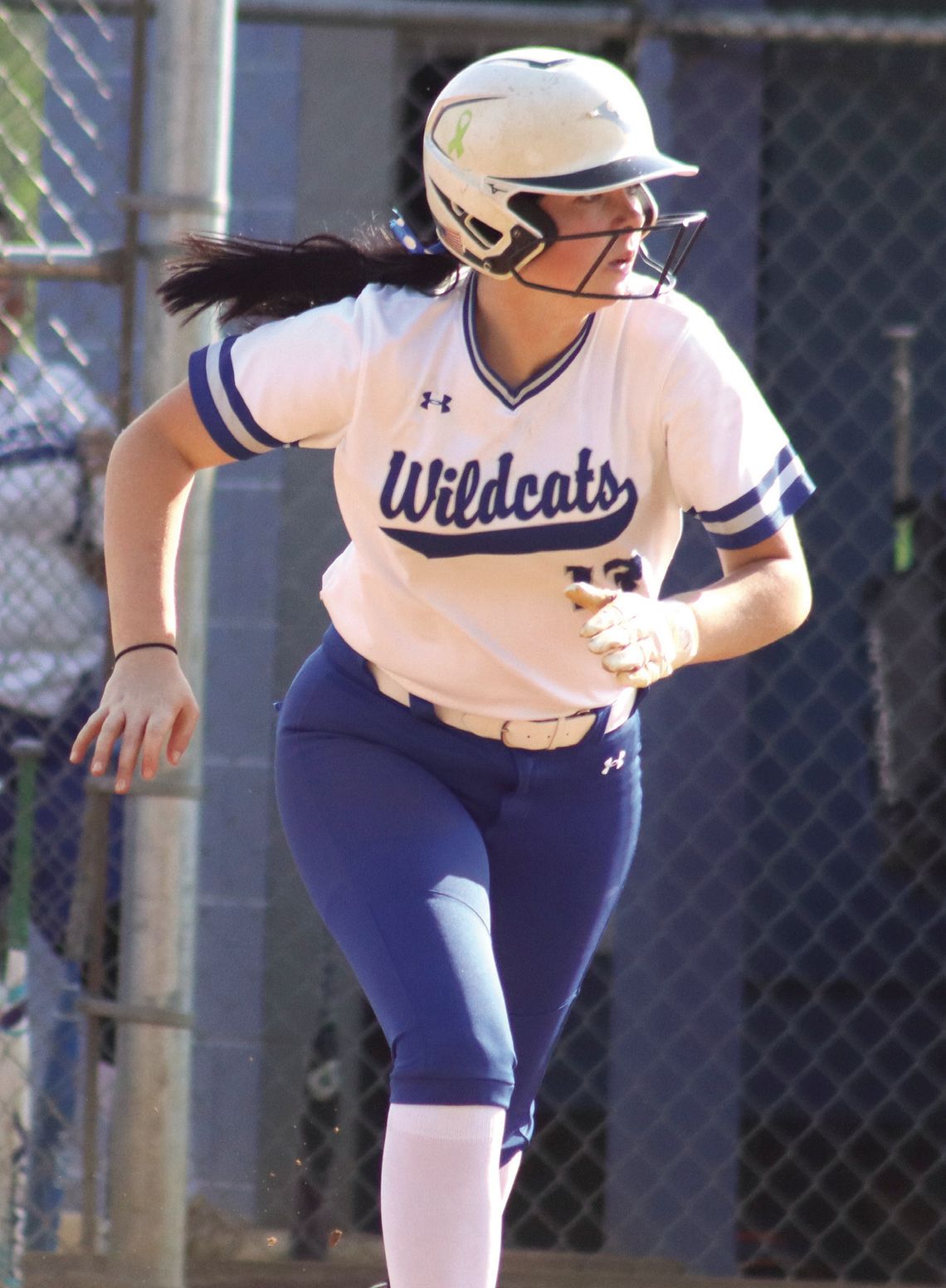 Wilson’s Walk-Off Lifts Wildcats